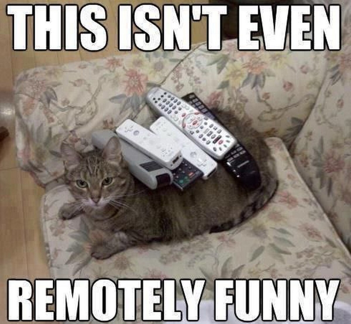 THIS ISN'T EWEN REMOTELY FUNNY
