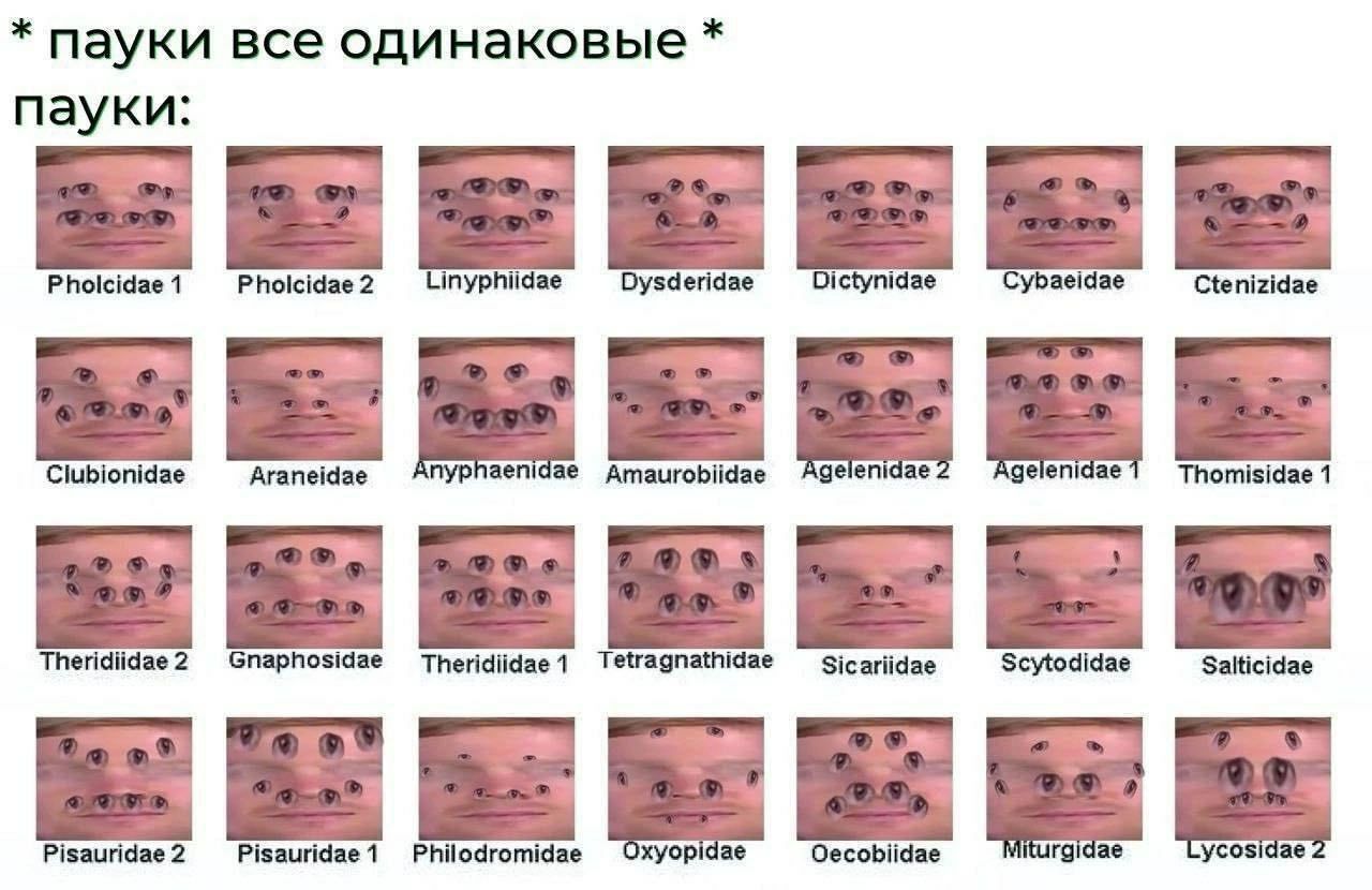 мем прислала Катя