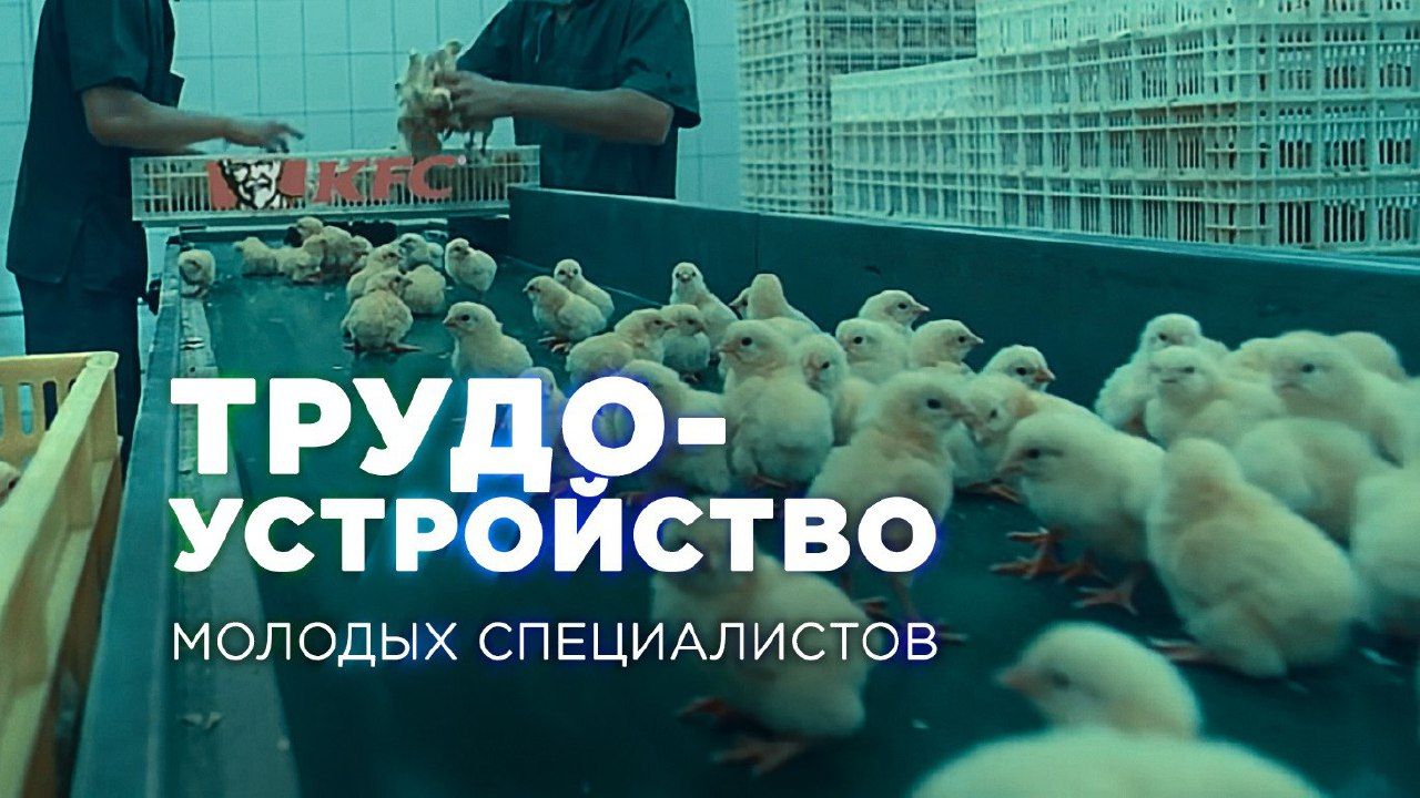7 ТРУДО- УСТРОЙСТВО МОЛОДЫХ СПЕЦИАЛИСТОВ