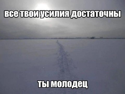 всетвоиусилия достаточны ты молодец