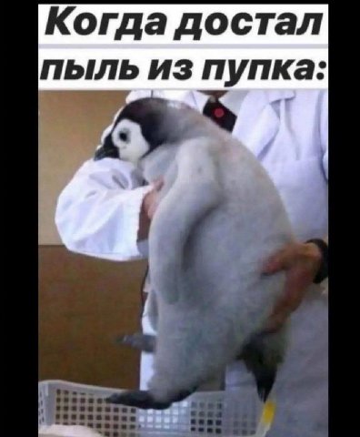 Когда достал ПЫЛЬ из пупка: