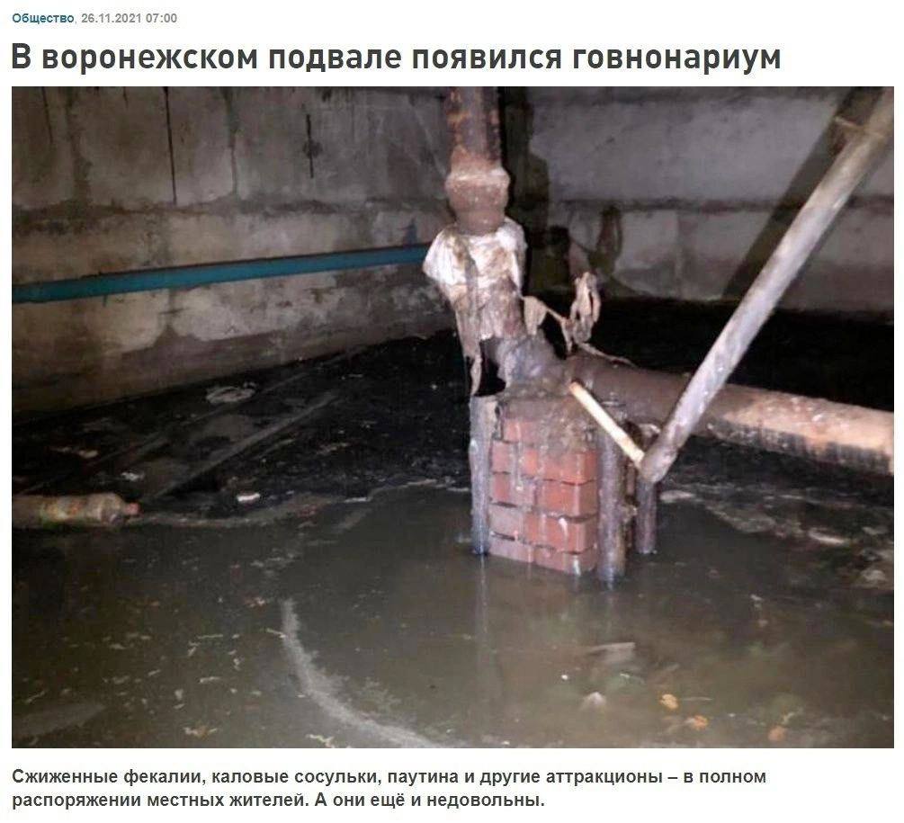 Общество. 26.11.2021 07:00 В воронежском подвале появился говнонариум я Сжиженные фекалии, каповые сосульки, паутина и другие аттракционы в полном распоряжении местных жителей. А они ещё и недовольны.