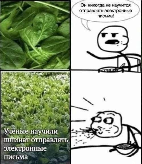 Онникогда не научится отправлять электронные письма! A 4 2 научили отправлять электронные письма
