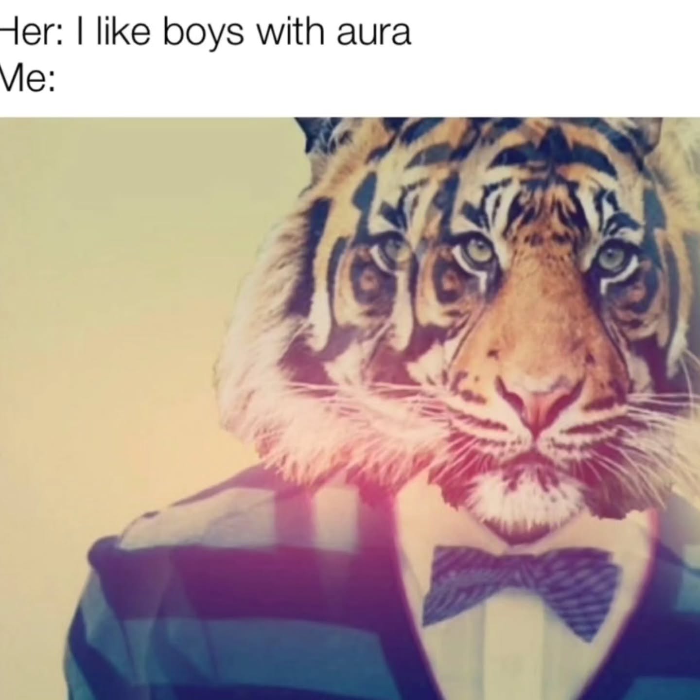 like boys with aura