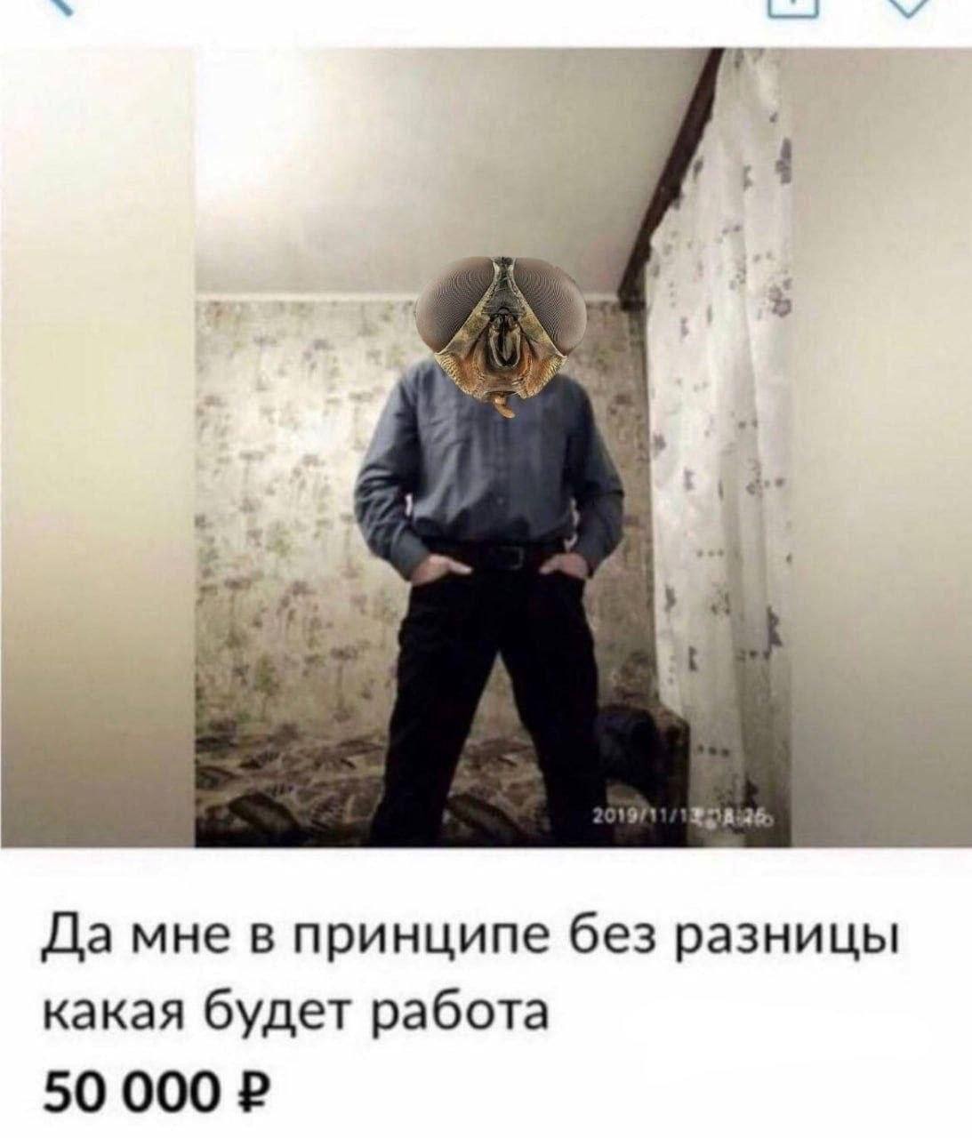 1% Да мне в принципе без разницы какая будет работа 50 000