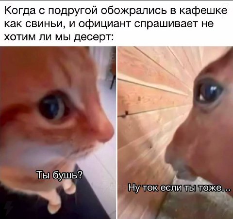 Когда с подругой обожрались в кафешке как свиньи, и официант спрашивает не хотим ли мы десерт: AN Ты бушь? Ну TOK если ты тоже...