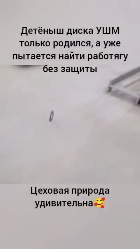 Детёныш диска УШМ только родился, а уже пытается найти работягу без защиты Цеховая природа удивительна: