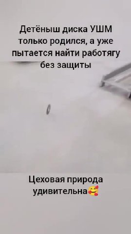 Детёныш диска УШМ только родился, а уже пытается найти работягу без защиты Цеховая природа удивительна: