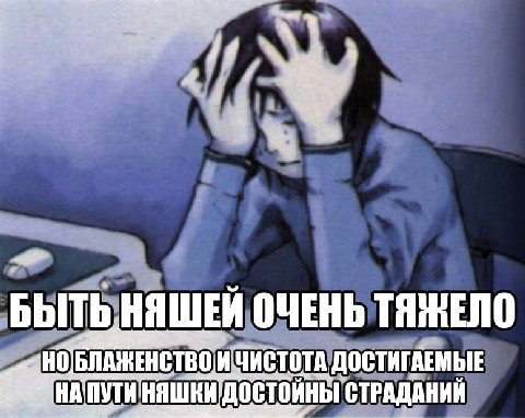 БЫТЬ НЯШЕЙ ОЧЕНЬ ТЯЖЕЛО и ЧИСТОТА ДОСТИГАЕМЫЕ |НА ПУТИНЯШКИ "СТРАДАНИЙ