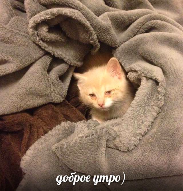 доброе утро)
