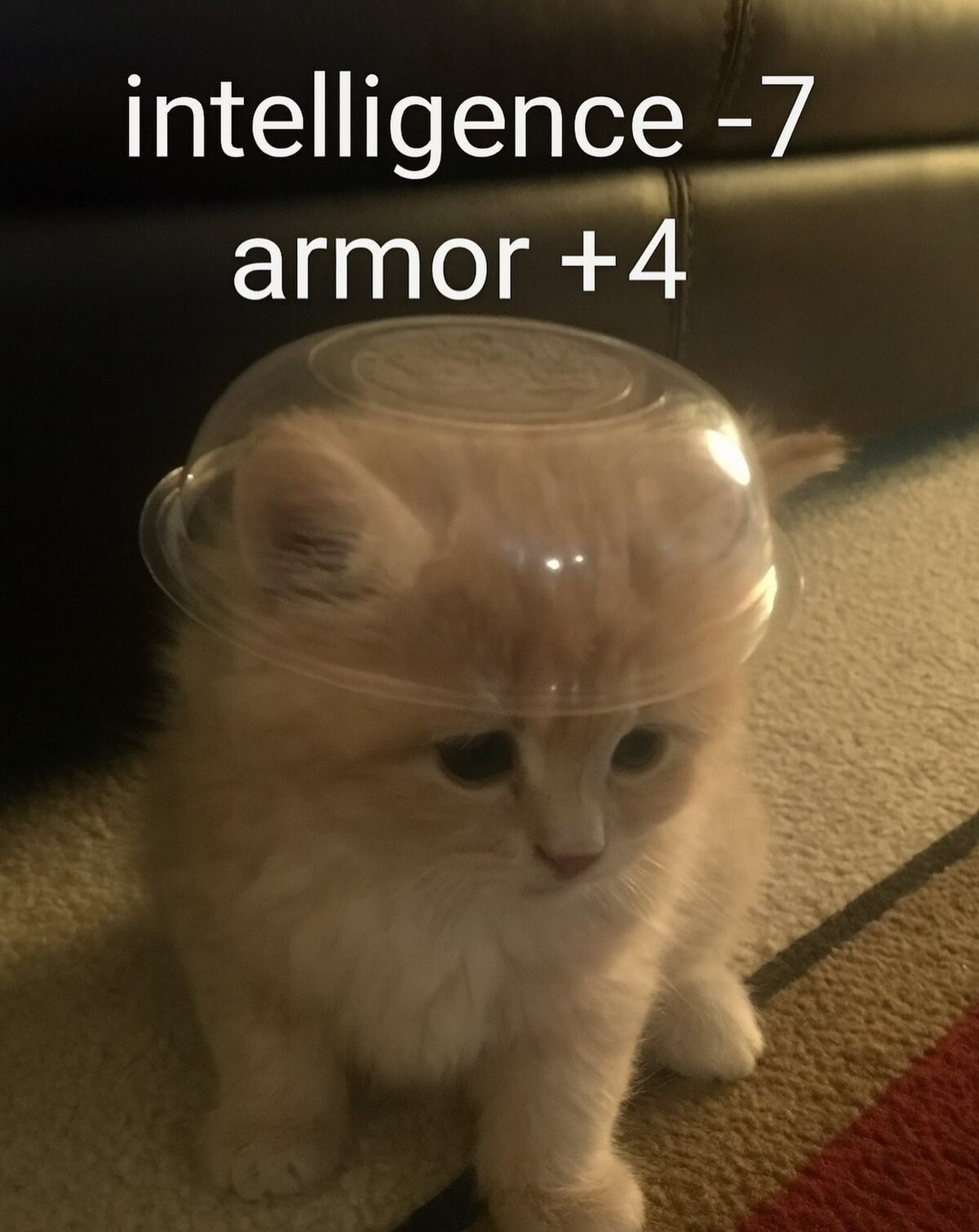 intelligence armor +4