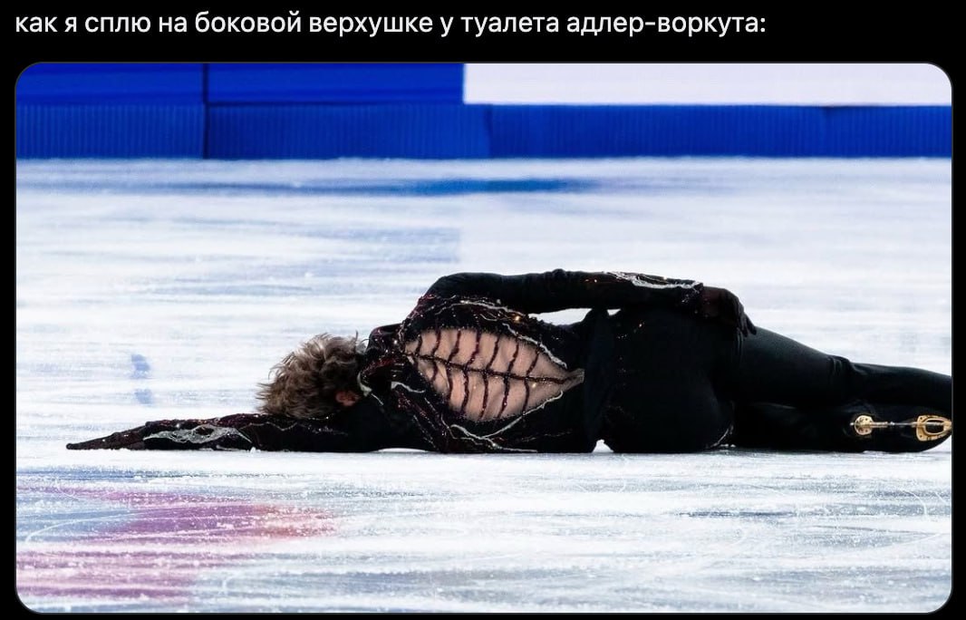 как я сплю на боковой верхушке у туалета адлер-воркута: