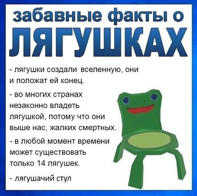 забавные факты о ЛЯГУШКАХ Лягушки создали вселенную, они и положат конец. многих странах незаконно владеть лягушкой, потому что они выше нас, жалких смертных. в любой момент времени может существовать