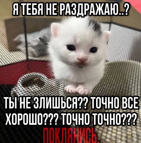 Я ТЕБЯ НЕ РАЗДРАЖАЮ..? ТЫНЕ ТОЧНО BCE. ХОРОШО??? ТОЧНО