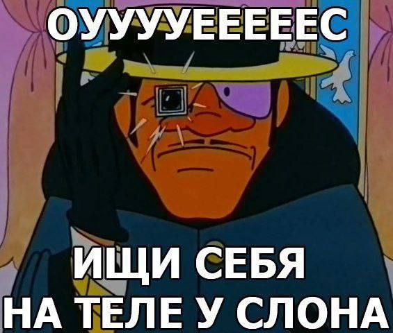 ОУУУУЕЕЕЕЕС ИЩИ СЕБЯ НА ТЕЛЕ У СЛОНА