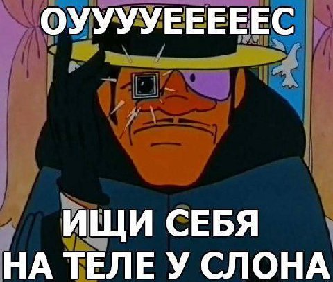 ОУУУУЕЕЕЕЕС ИЩИ СЕБЯ НА ТЕЛЕ У СЛОНА