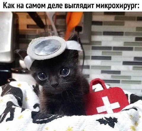 Как на самом деле выглядит микрохирург: