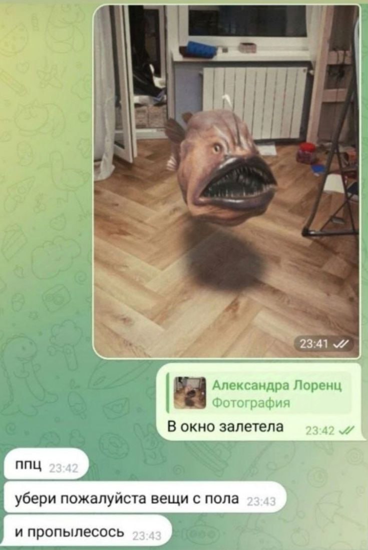 Александра Лоренц Фотография В окно залетела 23.42 и убери пожалуйста вещи с пола 23 43 и пропылесось 2343