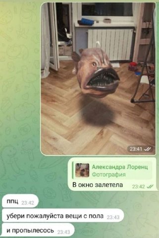Александра Лоренц Фотография В окно залетела 23.42 и убери пожалуйста вещи с пола 23 43 и пропылесось 2343