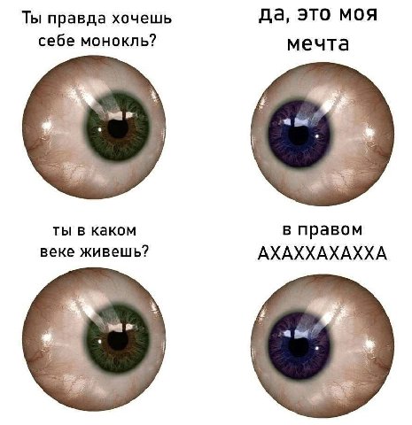 Ты правда хочешь да, это моя себе монокль? мечта ты в каком в правом веке живешь? АХАХХАХАХХА