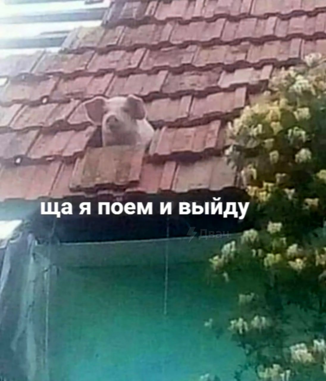 щая поем и выйду