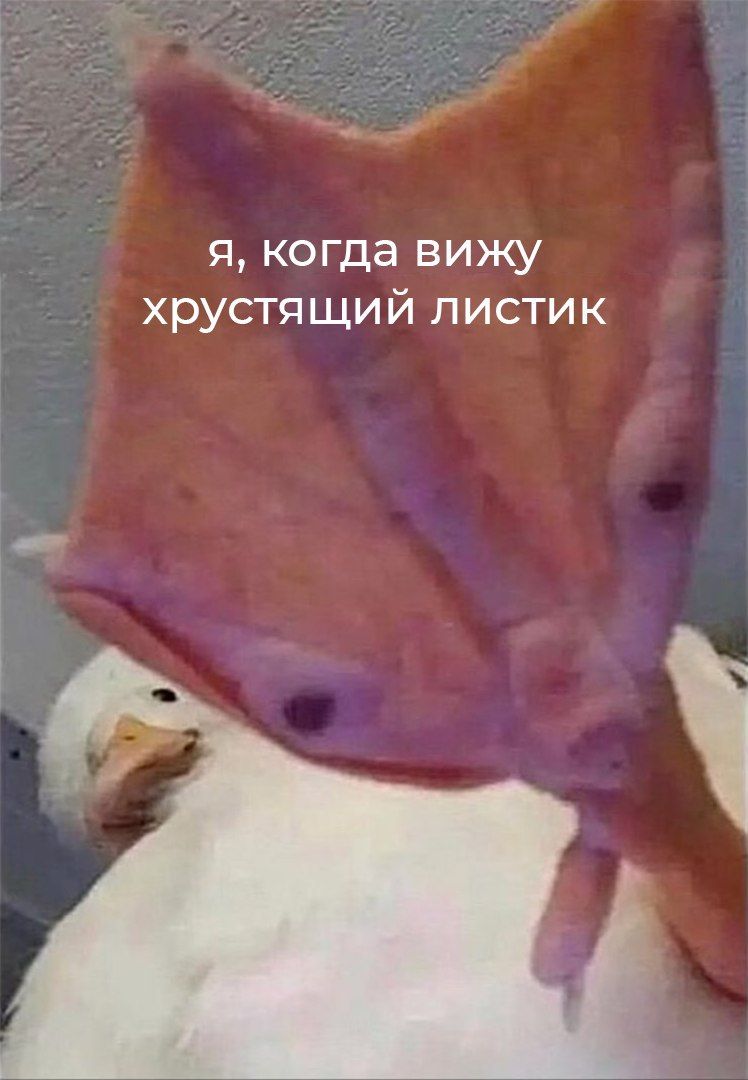 я, когда вижу хрустящий листик