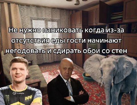 He когда из-за гости начинают негодовать и сдирать обои стен a