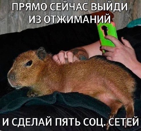 ПРЯМО СЕЙЧАС ВЫЙДИ ИЗ ОТЖИМАНИЙ И СДЕЛАЙ ПЯТЬ СОЦ. СЕТЕЙ