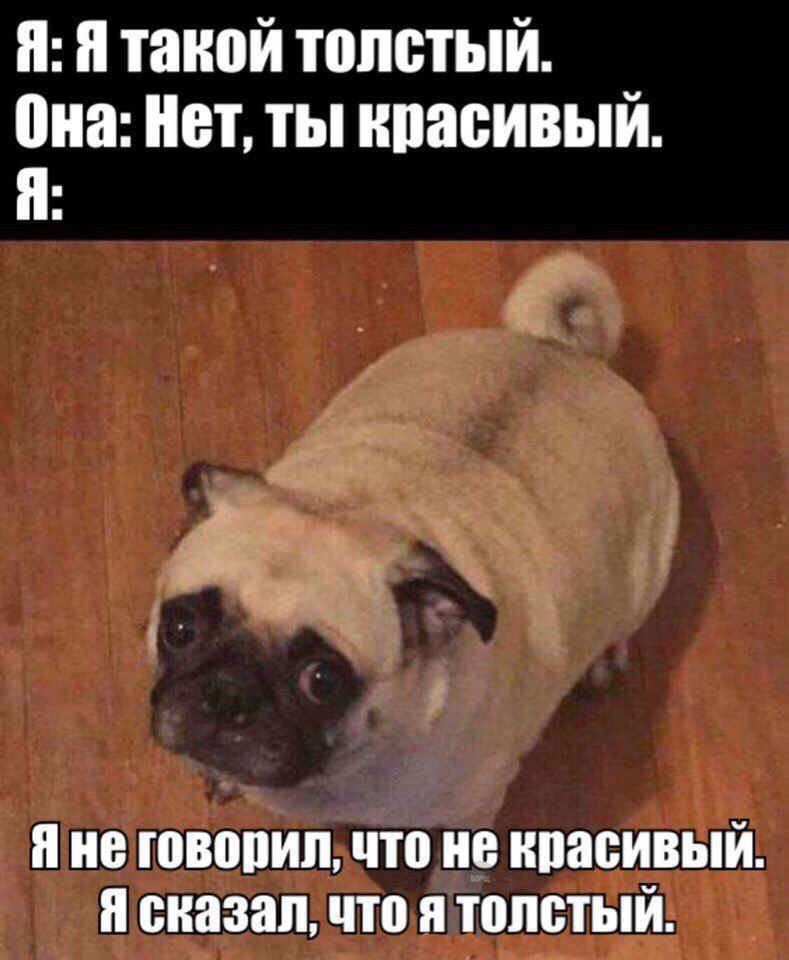 Я: Я Такой ТОЛСТЫЙ. Она: Нет, ты красивый. Я: Яне говорил, что не красивый. Я сказал, что я толстый.
