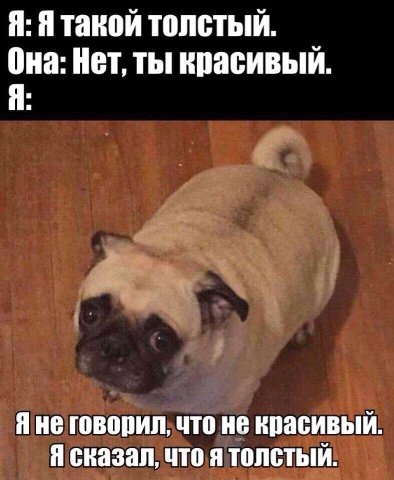 Я: Я Такой ТОЛСТЫЙ. Она: Нет, ты красивый. Я: Яне говорил, что не красивый. Я сказал, что я толстый.