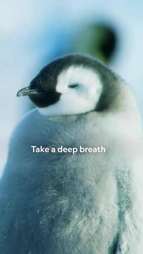 ТаКеа deep breath
