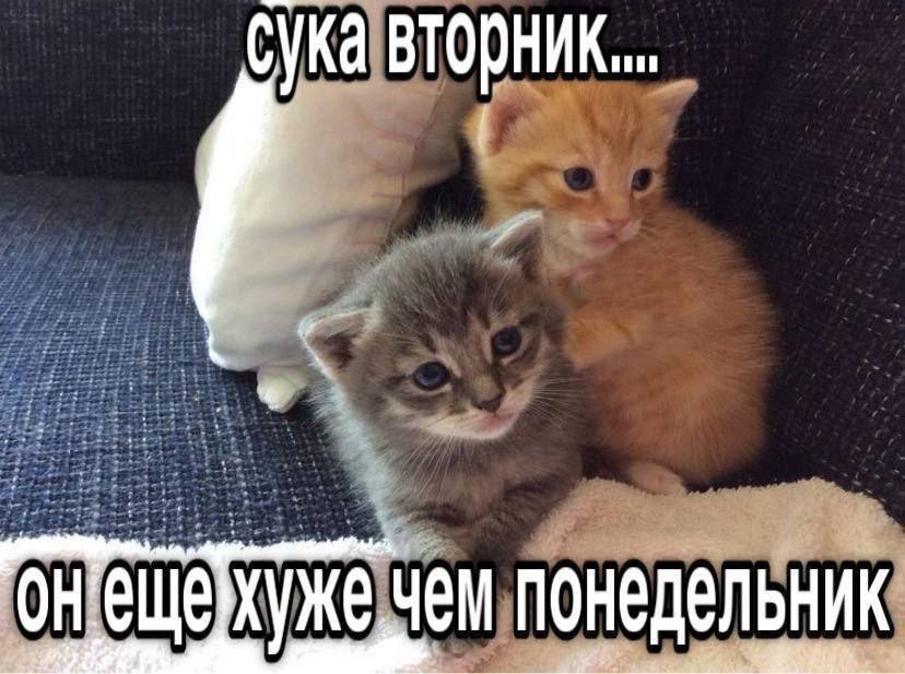 вторник... чем понедельник