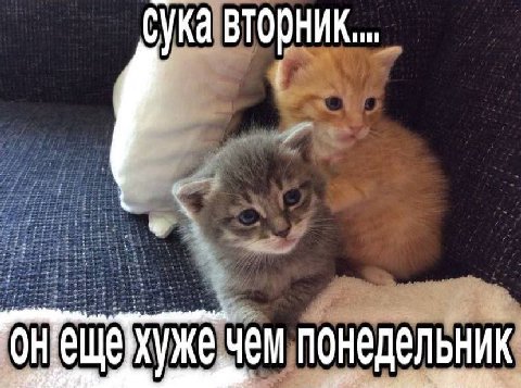 вторник... чем понедельник