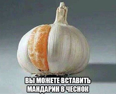 ВЫ ВСТАВИТЬ МАНДАРИН В ЧЕСНОК