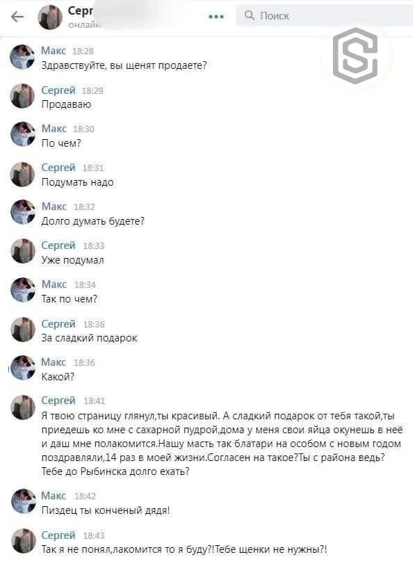 Серг eee Поиск онлайн Макс Здравствуйте, вы шенят продаете? Сергей 18:29 Продаваю Макс 18:30 По чем? Сергей 18:21 Подумать надо Макс Долго думать будете? Сергей 1 Уже подумал Макс 3:34 Так по чем? Сер