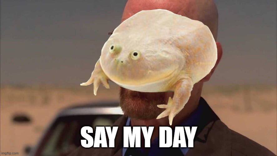 SAY MY DAY