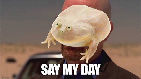 SAY MY DAY