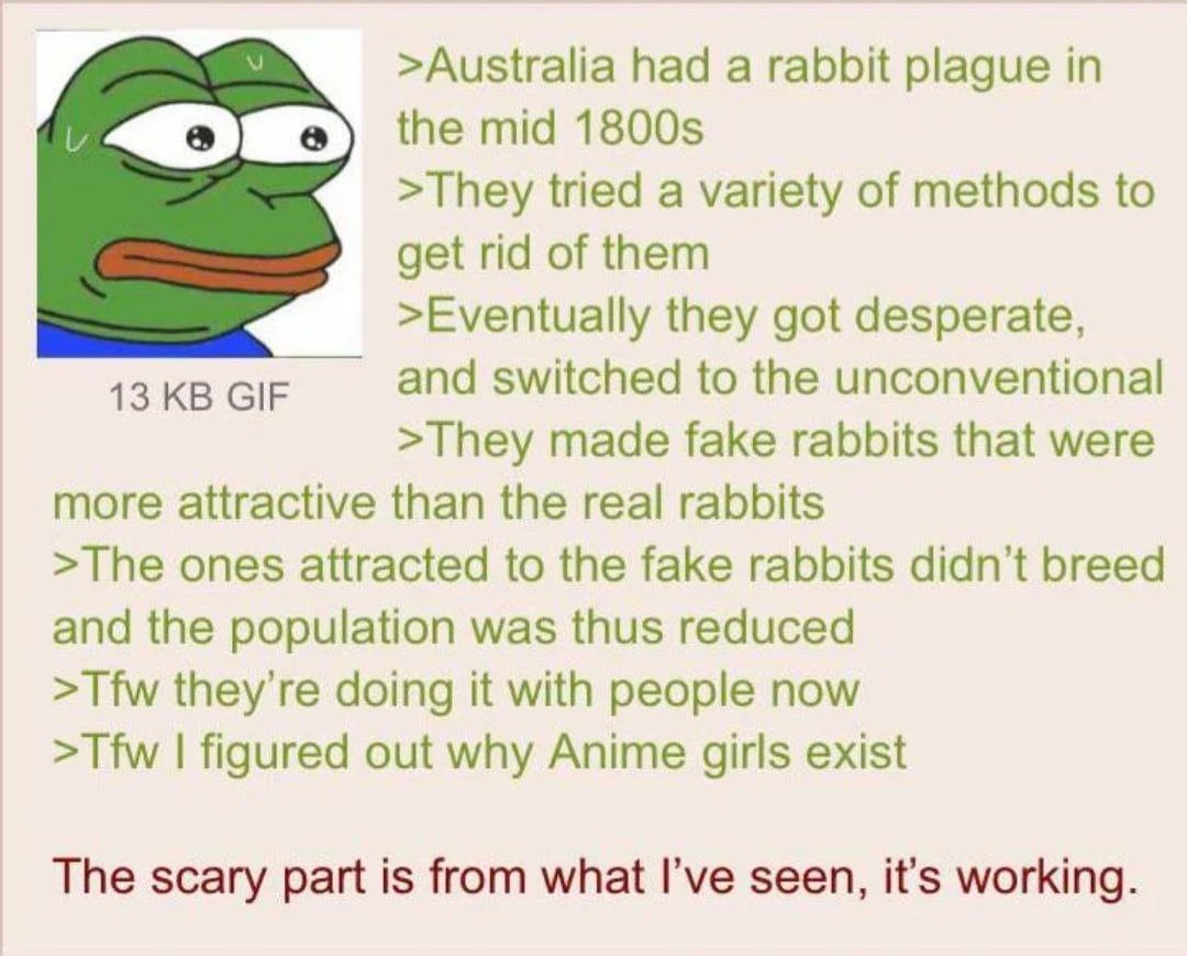 >Australia had a rabbit plague in the mid >They tried a variety of methods to get rid of them >Eventually they got desperate, 13 GIF and switched to the unconventional >They made fake rabbits that wer