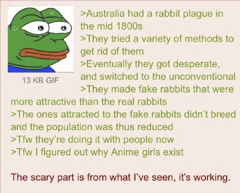 >Australia had a rabbit plague in the mid >They tried a variety of methods to get rid of them >Eventually they got desperate, 13 GIF and switched to the unconventional >They made fake rabbits that wer