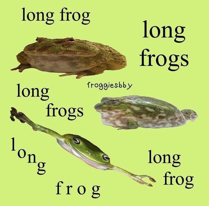 long long frogs long long frog frog