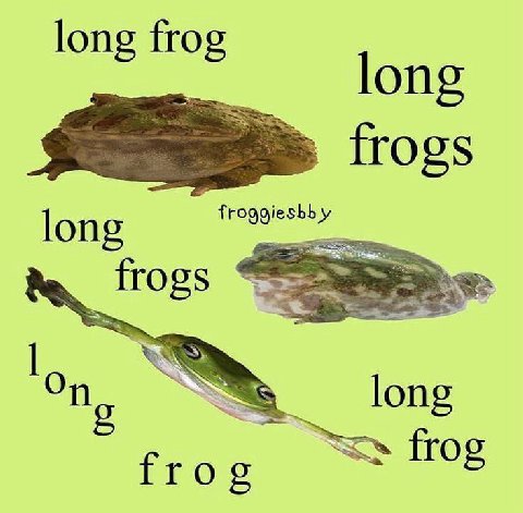 long long frogs long long frog frog