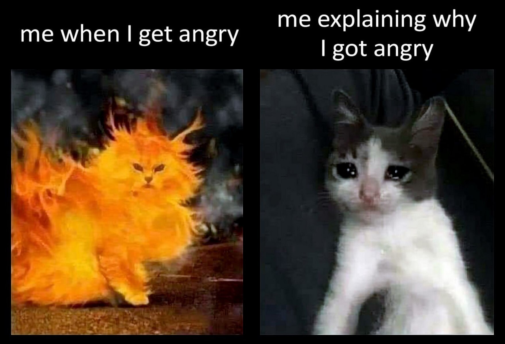 me explaining why me when get angry got angry