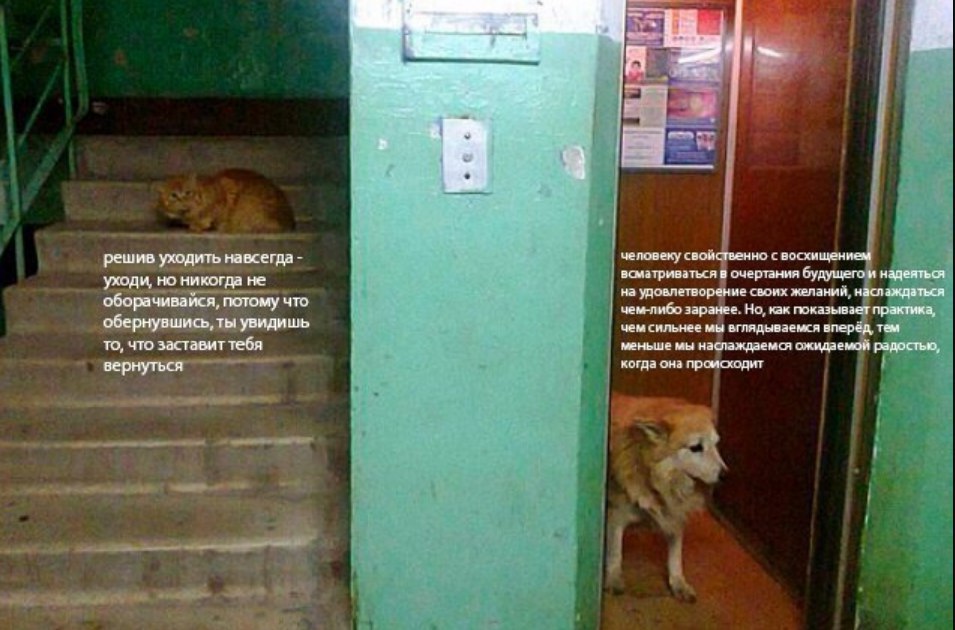 решив уходить навсегда человеку свойственно с восхищением всматриваться в очертания будущего и надеяться уходи, но никогда не #4 it на удовлетворение своих желаний, наслаждаться оборачивайся, потому ч