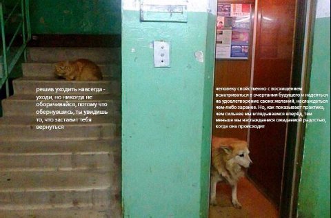 решив уходить навсегда человеку свойственно с восхищением всматриваться в очертания будущего и надеяться уходи, но никогда не #4 it на удовлетворение своих желаний, наслаждаться оборачивайся, потому ч