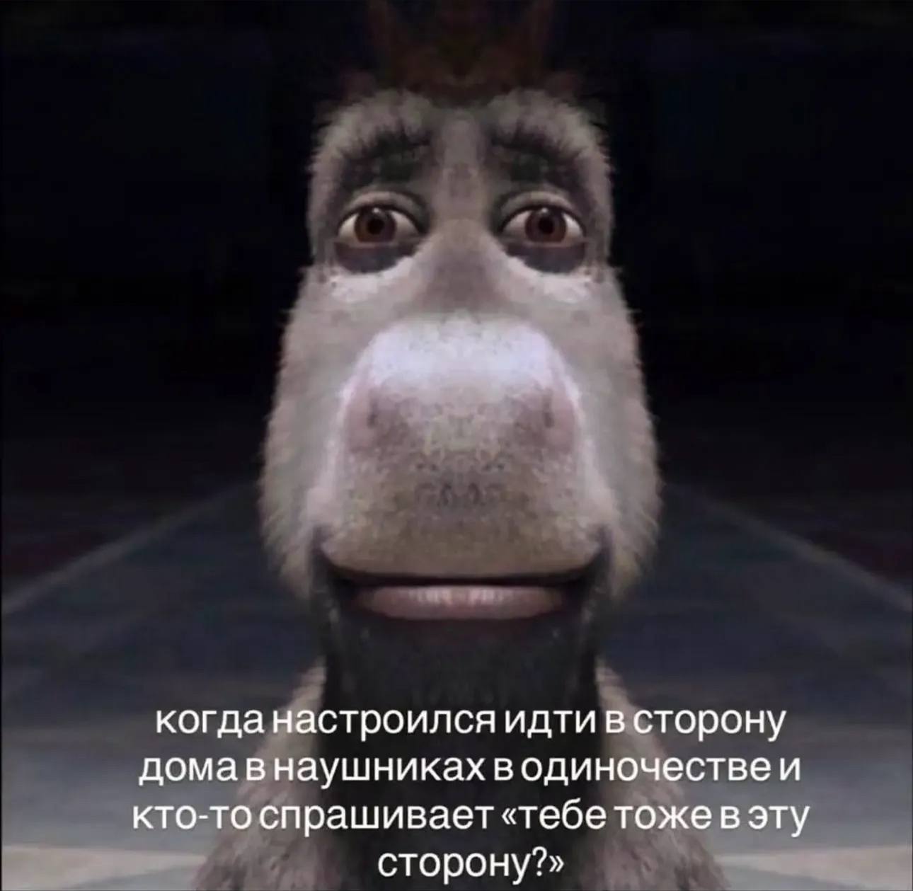 когда настроился идти в сторону домавнаушниках водиночествеи кто-то спрашивает «тебе тоже в эту сторону?»
