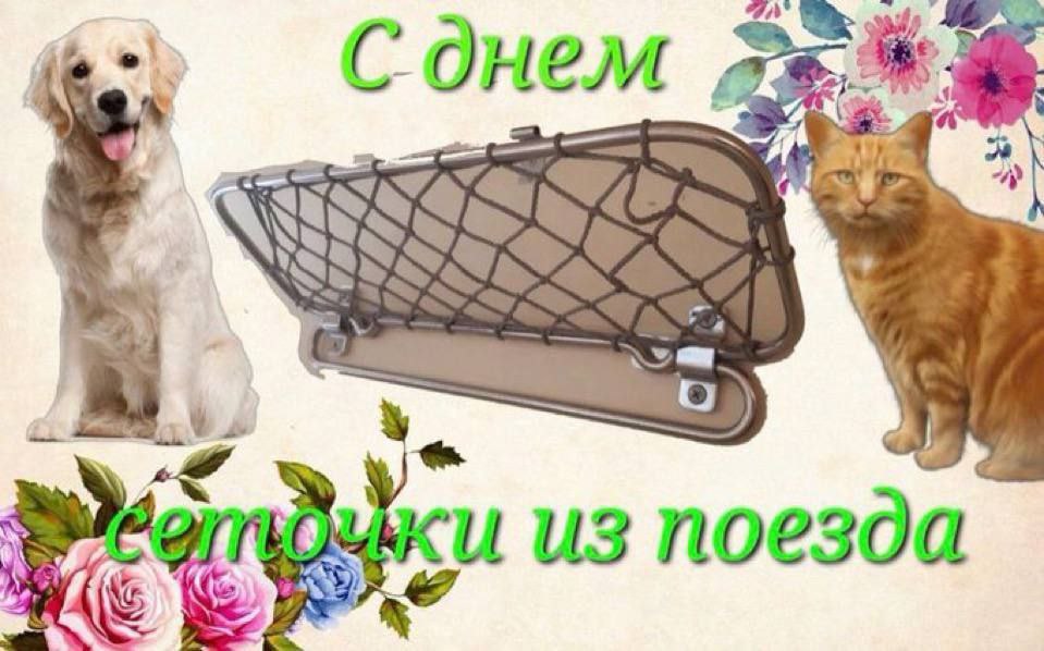 я люблю ее