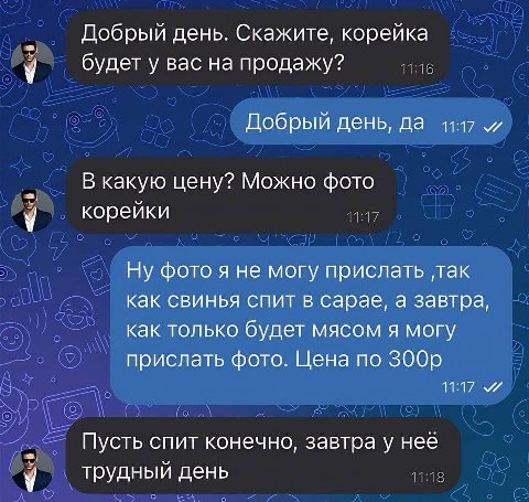 Добрый день. Скажите, корейка у будет у вас на продажу? Добрый день, да В какую цену? Можно фото у корейки Ну фото я не могу прислать ‚так как свинья спит в сарае, а завтра, как только будет мясом я м