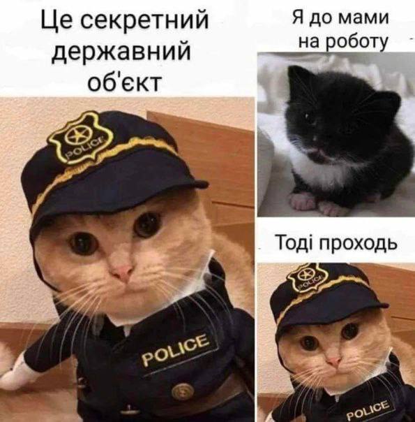 Я до мами секретний державний на Тод! проход
