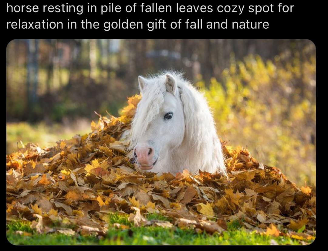 horse resting pile of fallen leaves cozy spot for relaxation the golden gift of fall and nature 20 я 7% a
