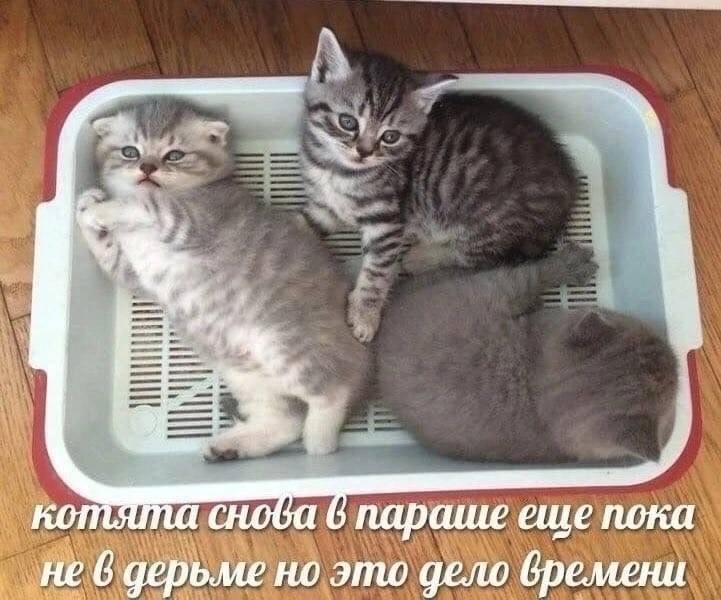 параше еше пока не 6 дерьме но это дело времени